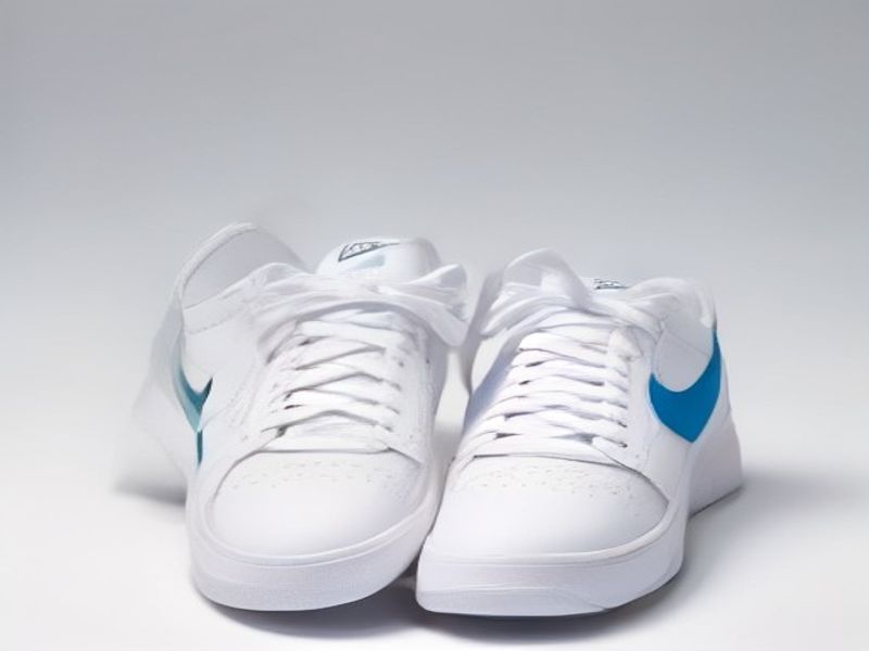Nike Court Borough Lo Recraft Zapatillas Unisex