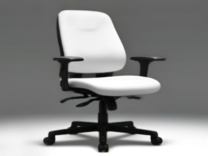 Silla Ergonómica Giratoria Ajustable WOLTU