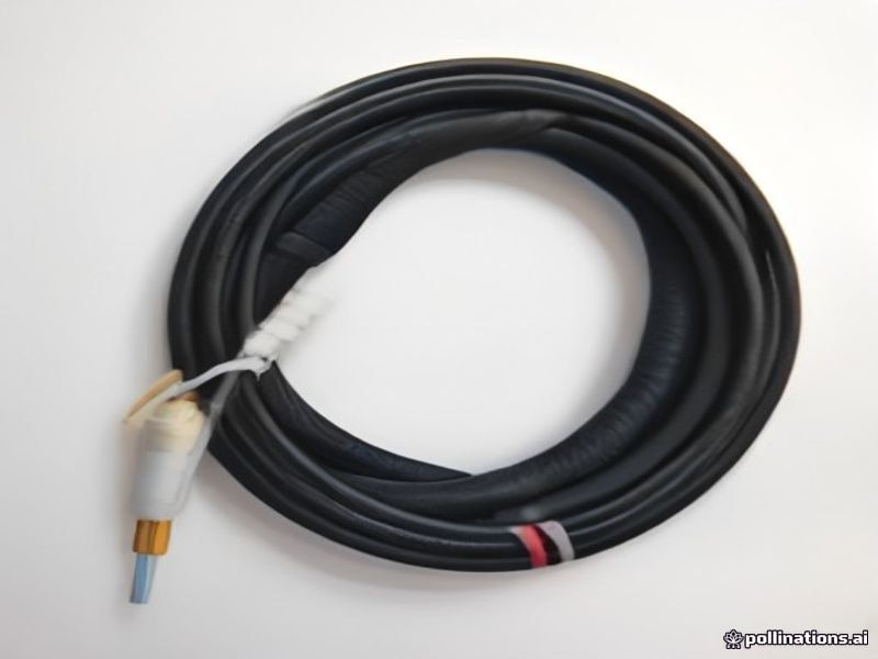 Cable de Extensión H05RR-F 8-10m Resistente 16A 250V