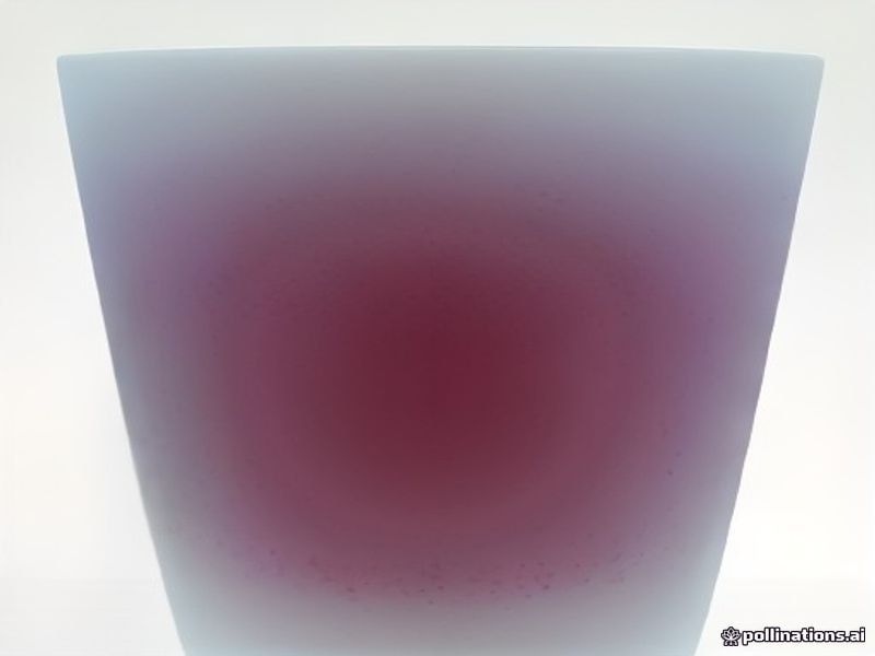 Ninja Slim Batidora de Vaso para Smoothies