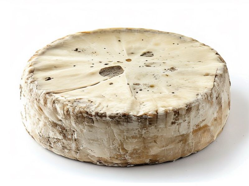 FLOR DE ESGUEVA,Queso viejo de oveja, mini madurado en corteza natural , 1 kg