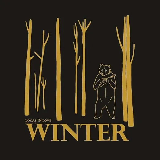Winter: Botas Impermeables de Invierno para Hombre