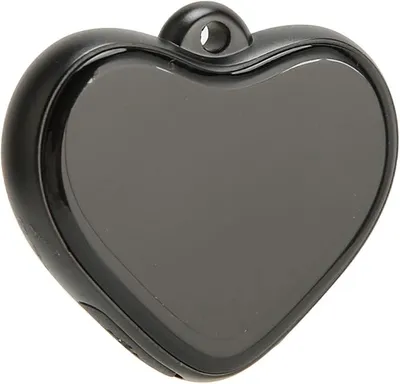 Grabadora Corazón 4GB