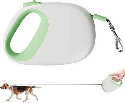 Correa extensible para perro