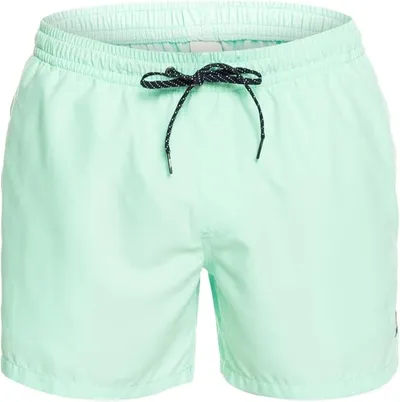 Quiksilver Everyday Volley 15"