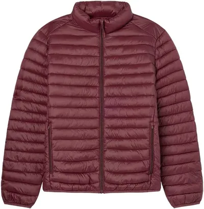 Chaqueta para Hombre Springfield