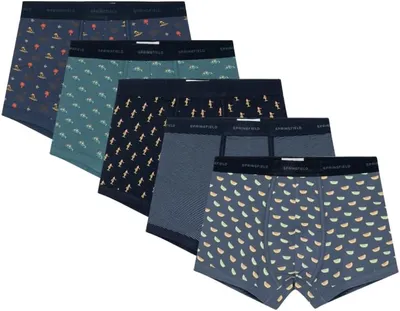 5 Pack of Hawaiian Boxers