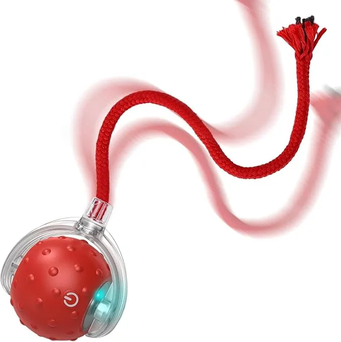 Pelota Interactiva Recargable