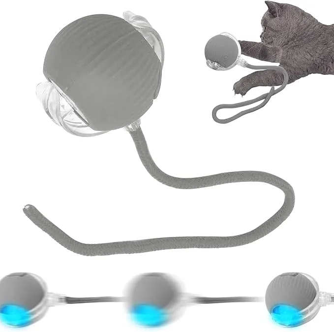 Pelota Interactiva SORNEICDR