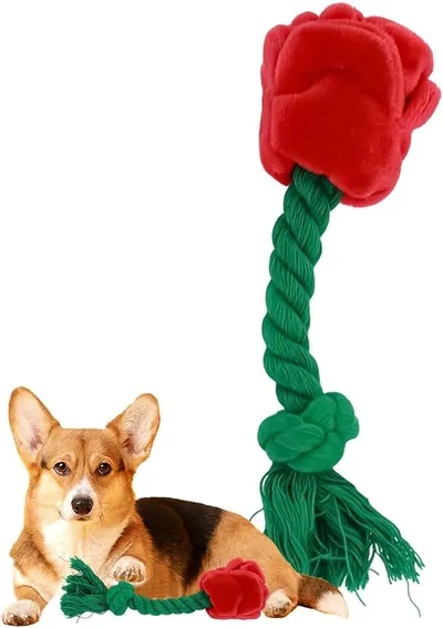 Peluches Resistente Chirriador para Perros