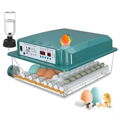 CoInceptus Incubadora Huevos Gallina