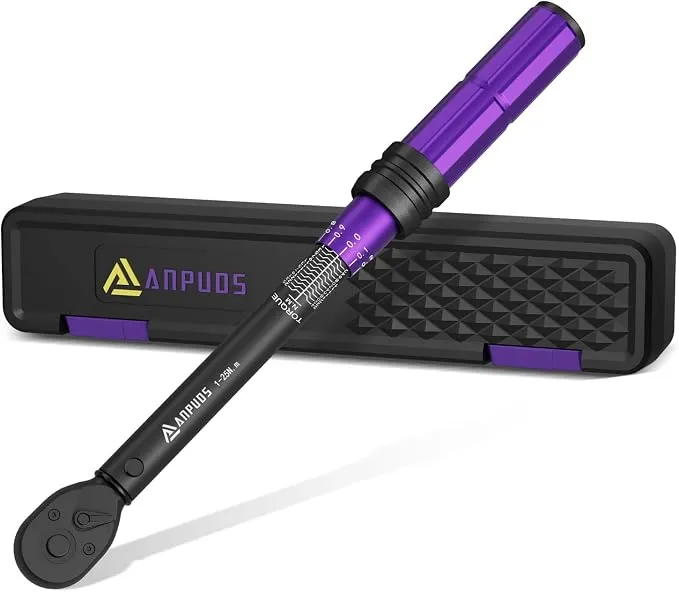 ANPUDS Llave Dinamométrica 1/4" 1-25 Nm con ±3% Precisión