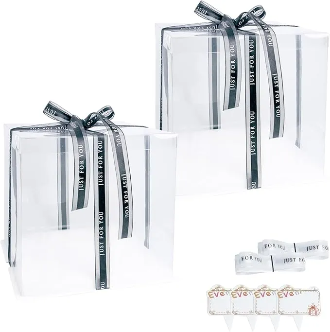 Vebetter Caja de Tartas Transparente Doble Capa (18x18x18 cm) - Pack de 2