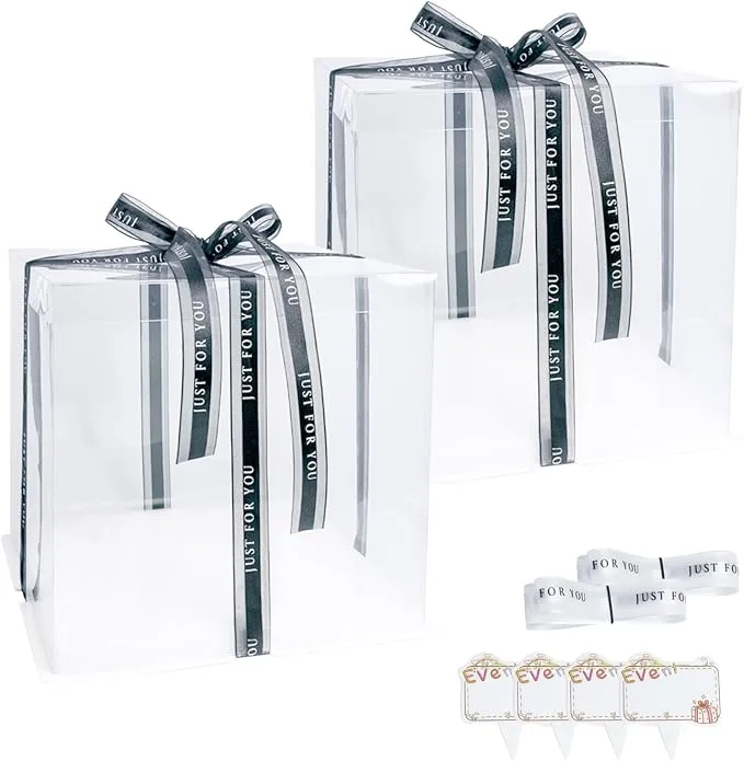 Vebetter Cajas Transparentes para Tartas (22x22cm) - Pack Reutilizable
