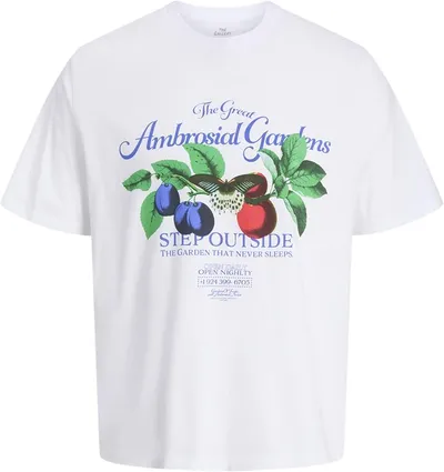 Camiseta para Hombre - JACK & JONES