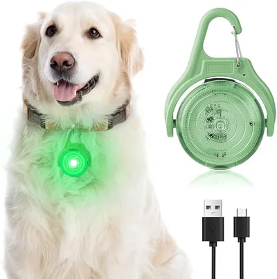 Collar LED Perro AUAUY