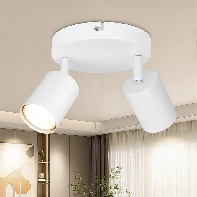 Lámpara de Techo DEHOBO con 2 Focos Giratorios y Diseño Moderno