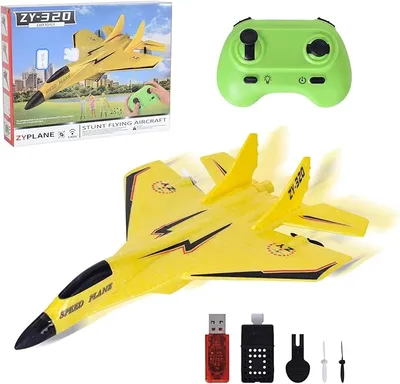 Amazon Lunaanda Avión RC de 2 Canales