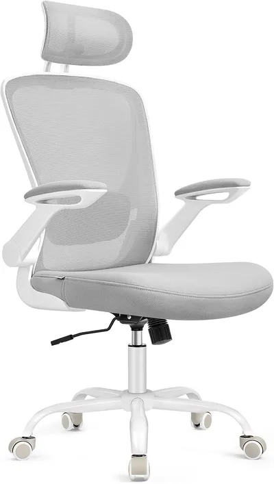 Silla de oficina SONGMICS OBN047G01