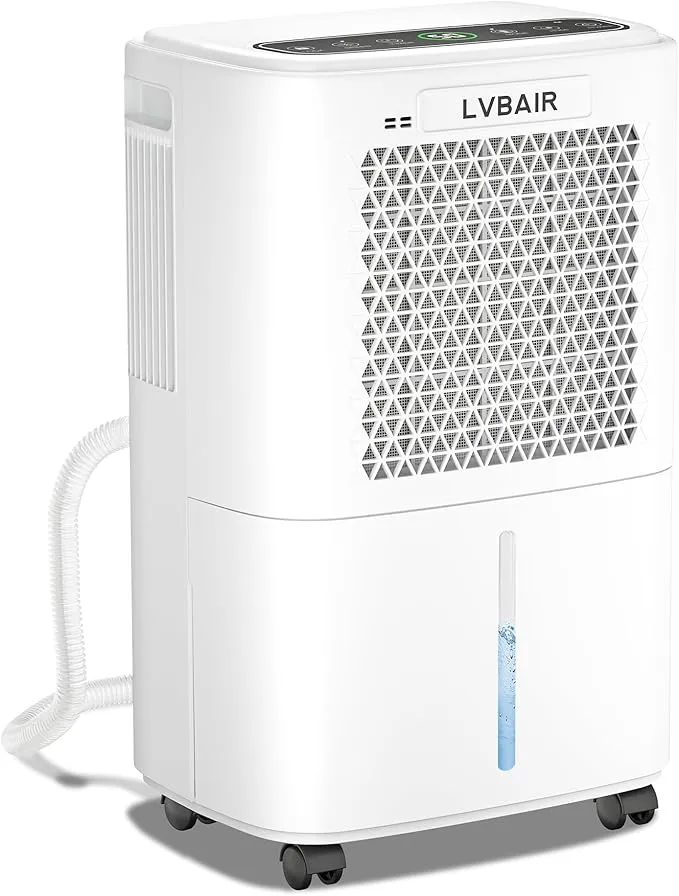 Deshumidificador ElĂ©ctrico Potente 12 l/dĂa con Ahorro EnergĂ©tico