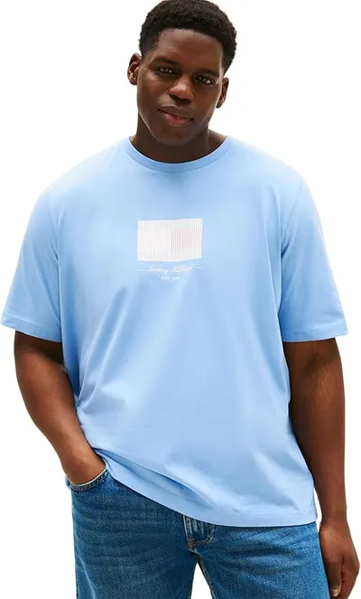 Camiseta para Hombre TOMMY HILFIGER