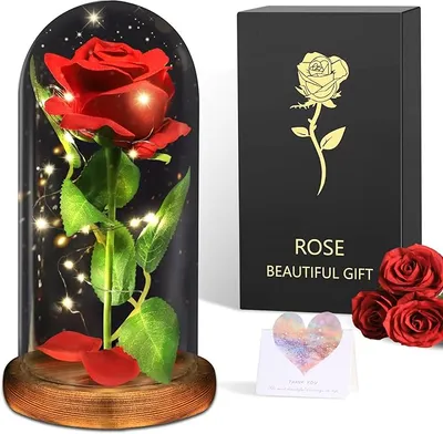 BOLEi Rosa Eterna, Bella y la Bestia Rosas, Rosa Infinita en Caja de Regal