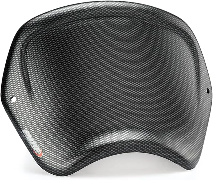 Puig 22223C Placa Frontal ABS con diseño retro y función portanúmeros para protección y estética deportiva, Carbono