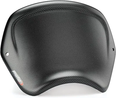 Puig 22223C Placa Frontal ABS con diseño retro y función portanúmeros para protección y estética deportiva, Carbono