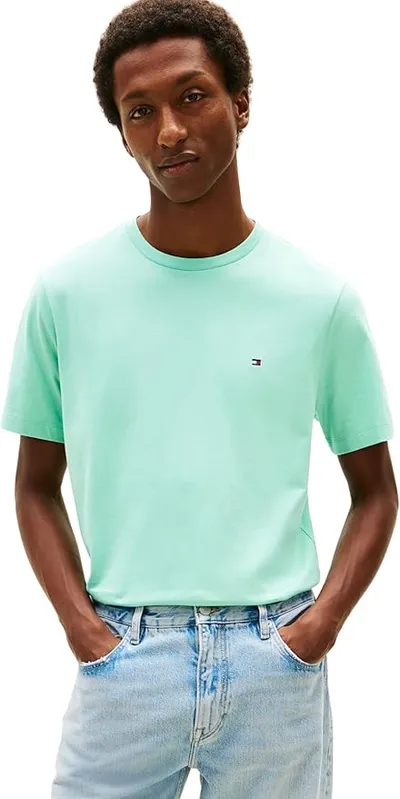 Tommy Hilfiger Camiseta ESS Seasonal Reg Fit Solid MW0MW39995 S/S