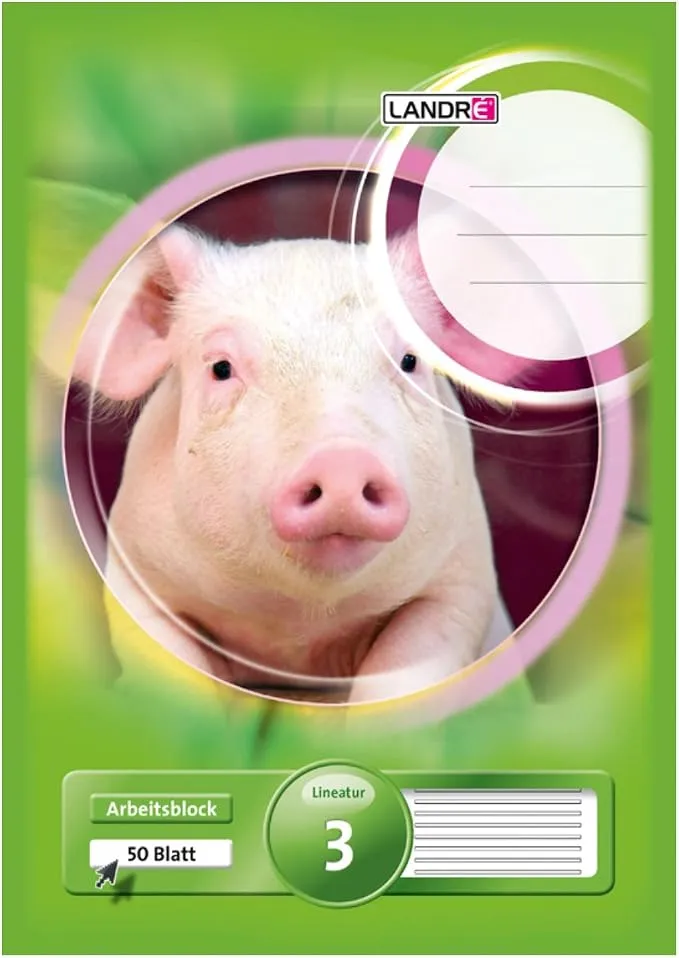 Lote 5 Cuadernos A4 Landre, 50 Hojas, 3 Líneas, 80 g/m²