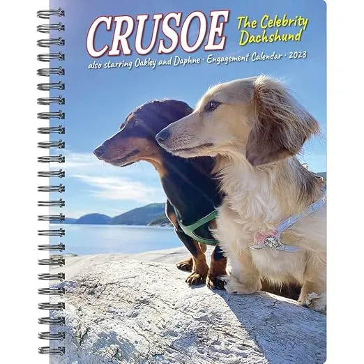 Agenda Calendario 2023 Crusoe, el Dachshund Famoso