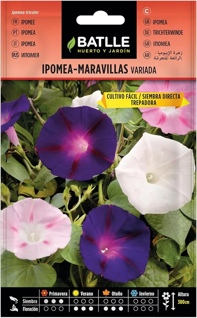 Batlle Ipomea Maravillas Trepadora - Bolsa de Semillas para Plantar