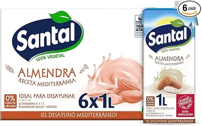 Bebida Vegetal Santal Almendra 6L