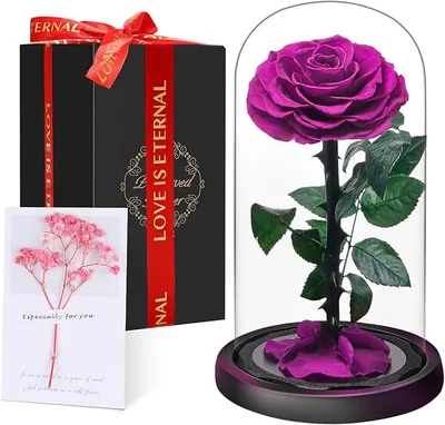 Rosa Eterna Preservada en Cúpula de Cristal Touloube - Regalo Romántico de Larga Duración