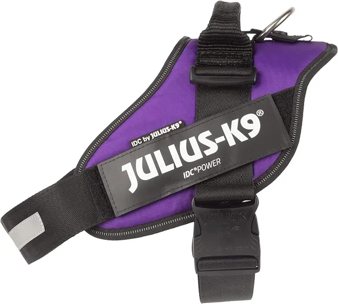 Arnés Julius-K9 IDC Power para Perros Grandes - Ajustable y Resistente