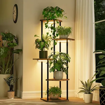 Soporte Esquinero 5 Niveles Bamworld