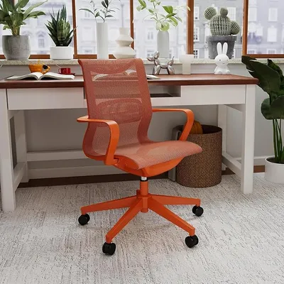 Silla de Oficina Ergonómica y Transpirable con Soporte Lumbar