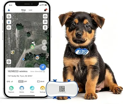 Rastreador GPS 4G para Perros