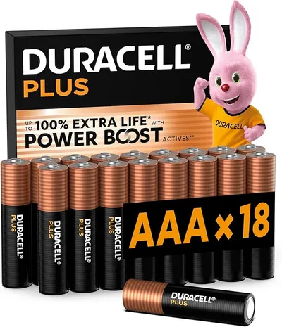 Pilas Duracell Plus AAA