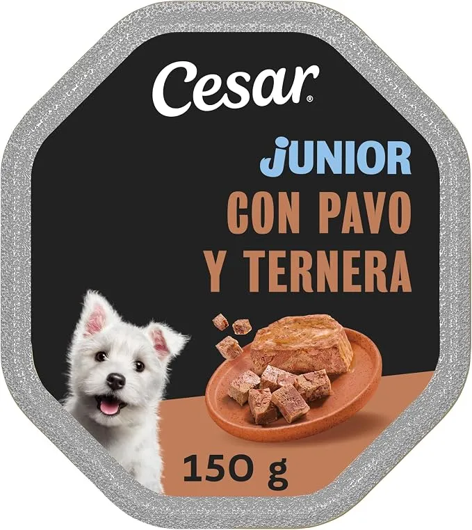Cesar Tarrina Junior Pack 14 Unidades Sabor Ternera y Pavo