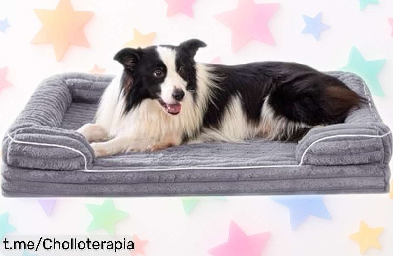 Cama Ortopédica para Perros VoltaEcho con Funda Lavable y Base Antideslizante