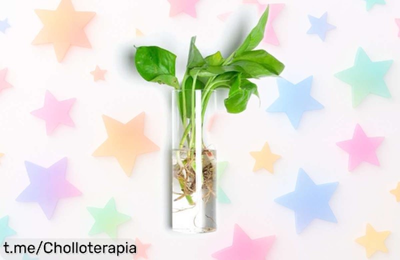 Maceta Colgante Moderna con Tubos de Vidrio para Plantas