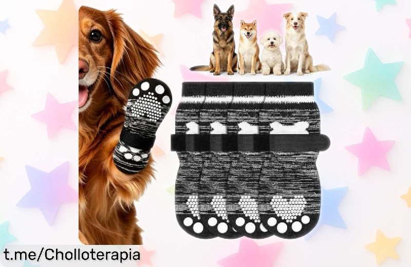 Pack 2 Calcetines Antideslizantes para Perros OSDUE